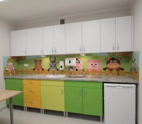 cabinets and shelves for the doctor's office